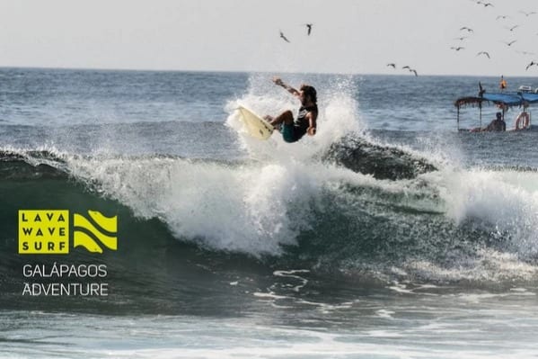 LavaWaveSurf (Galapagos, Ecuador)