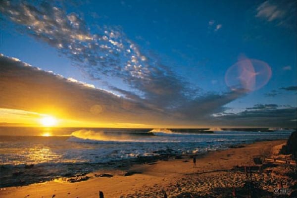 Wavecrest Surfschool (Jeffreys Bay, South Africa)