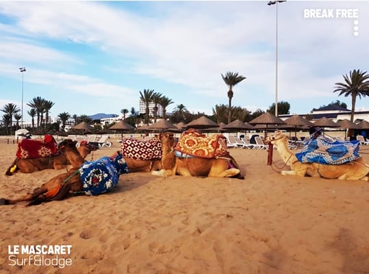 Mascaret House Lodge & Surf  (Tamraght, Morocco)